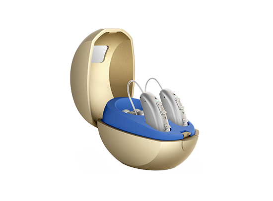 Receiver-in-Canal (RIC)